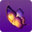 蝴蝶视频app无限观看免费