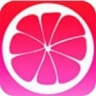 柚子视频黄软件app免费版