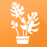 植物品鉴 V1.0 安卓版