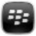 BlackBerry Desktop Manager(黑莓桌面管理器) V7.1 官方版