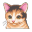 猫咪护理 V1.0.5(CatCare) 安卓版