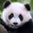 大熊猫狩猎 V1.0.2 安卓版