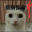 猫咪惊魂下载安装动态狗头版最新版 V23.08.181822
