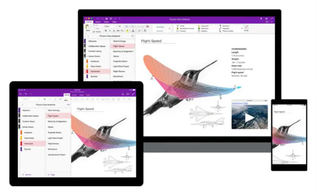 微软公告：2023年11月起 OneNote for Windows 10 翻译功能终结