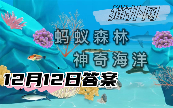 蚂蚁森林神奇海洋12月12日答案2024-以下哪种海洋动物能在海面上