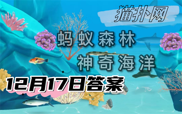 蚂蚁森林神奇海洋12月17日答案2024-海苹果是以下哪种生物