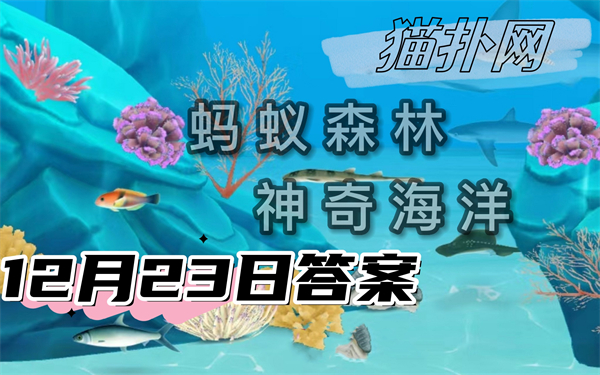 神奇海洋12月23日答案2024-以下哪一项描述更符合海洋鱼类的睡眠特征